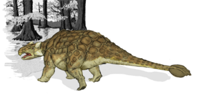 A drawing of an ankylosaur.